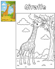 Giraffe coloring page and colored reference for kids